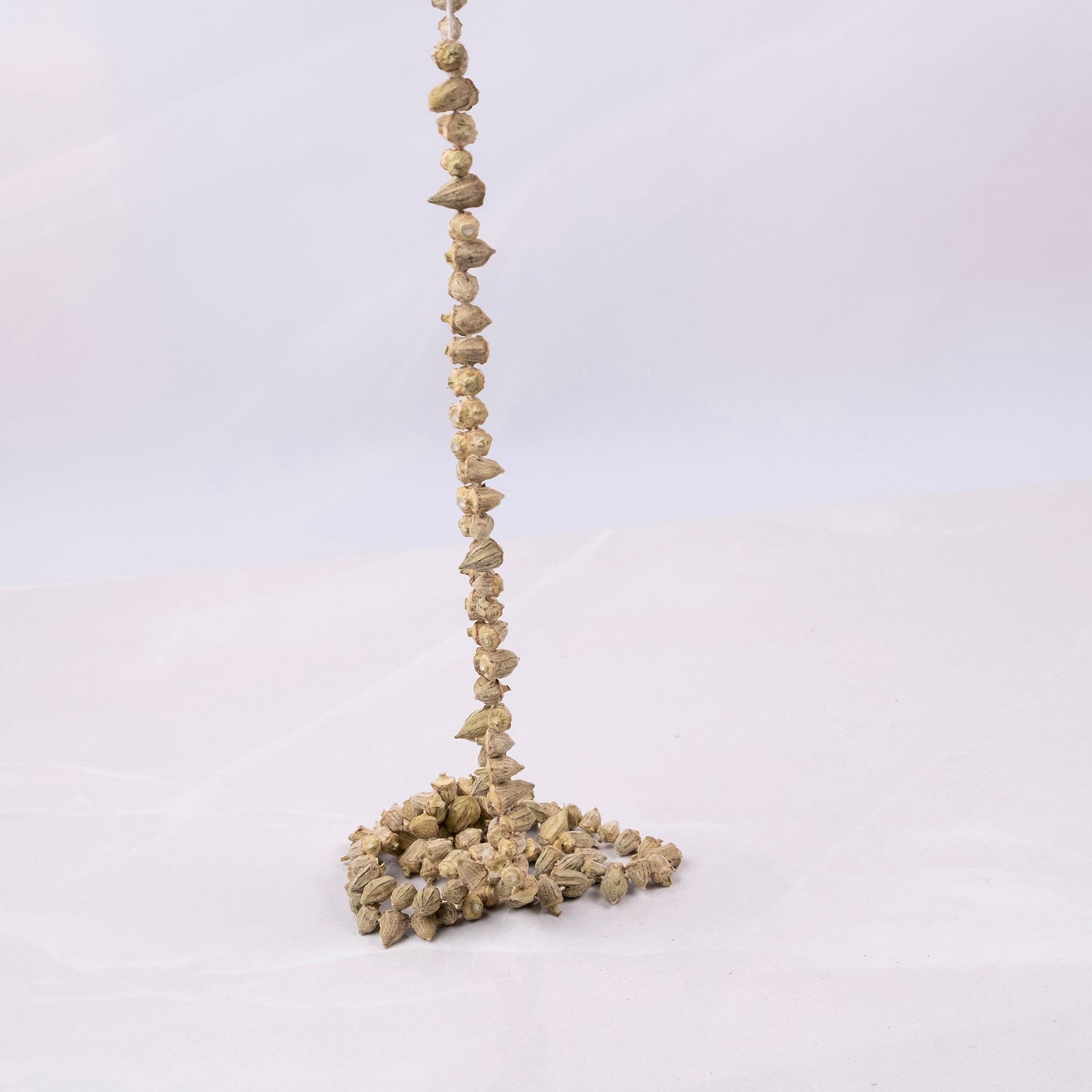 İpe dizilmiş doğal kuru bamya çiçekleri – geleneksel yöntemle kurutulmuş katkısız bamya