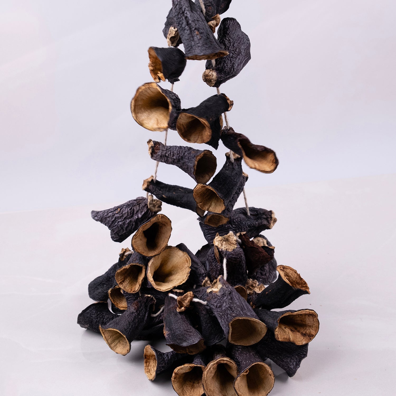 Saplı kuru patlıcanlar – geleneksel yöntemlerle güneşte kurutulmuş dolmalık doğal ürün