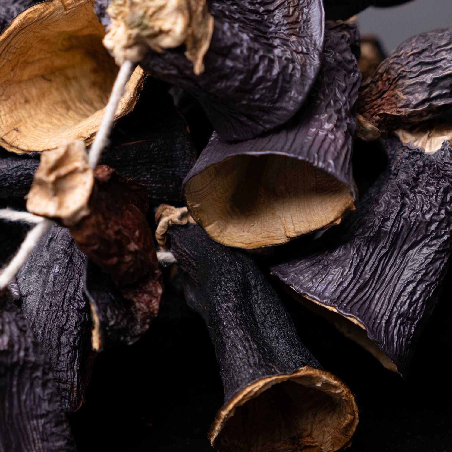 Saplı kuru patlıcanlar – geleneksel yöntemlerle güneşte kurutulmuş dolmalık doğal ürün