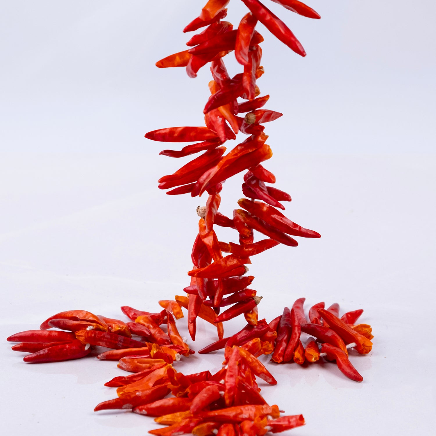 Güneşte kurutulmuş yakan acı biber kurusu – doğal, katkısız ve yoğun aromalı biber çeşidi