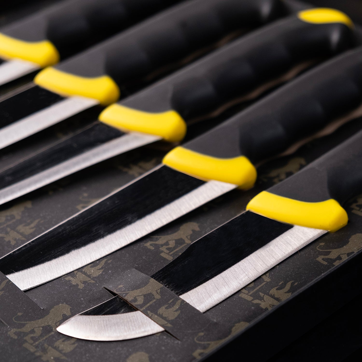 3113 çelikten üretilmiş plastik saplı Albora kurban bıçak seti – dayanıklı ve keskin et bıçakları