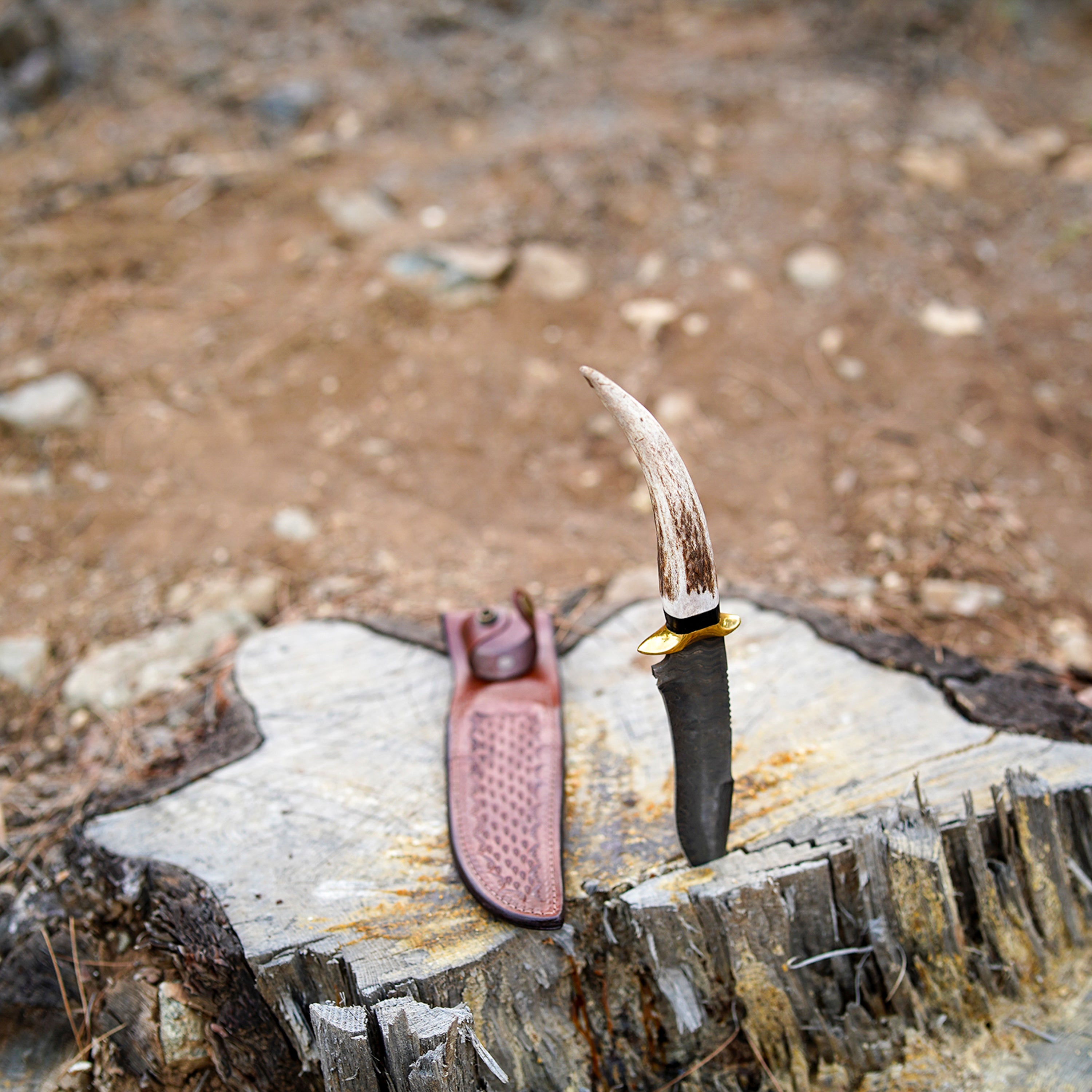 Zeus Damascus Av Bıçağı, geyik boynuzu kabzalı, vaketa deri kılıflı ve el işçiliğiyle üretilmiş premium Damascus çelik outdoor bıçak.