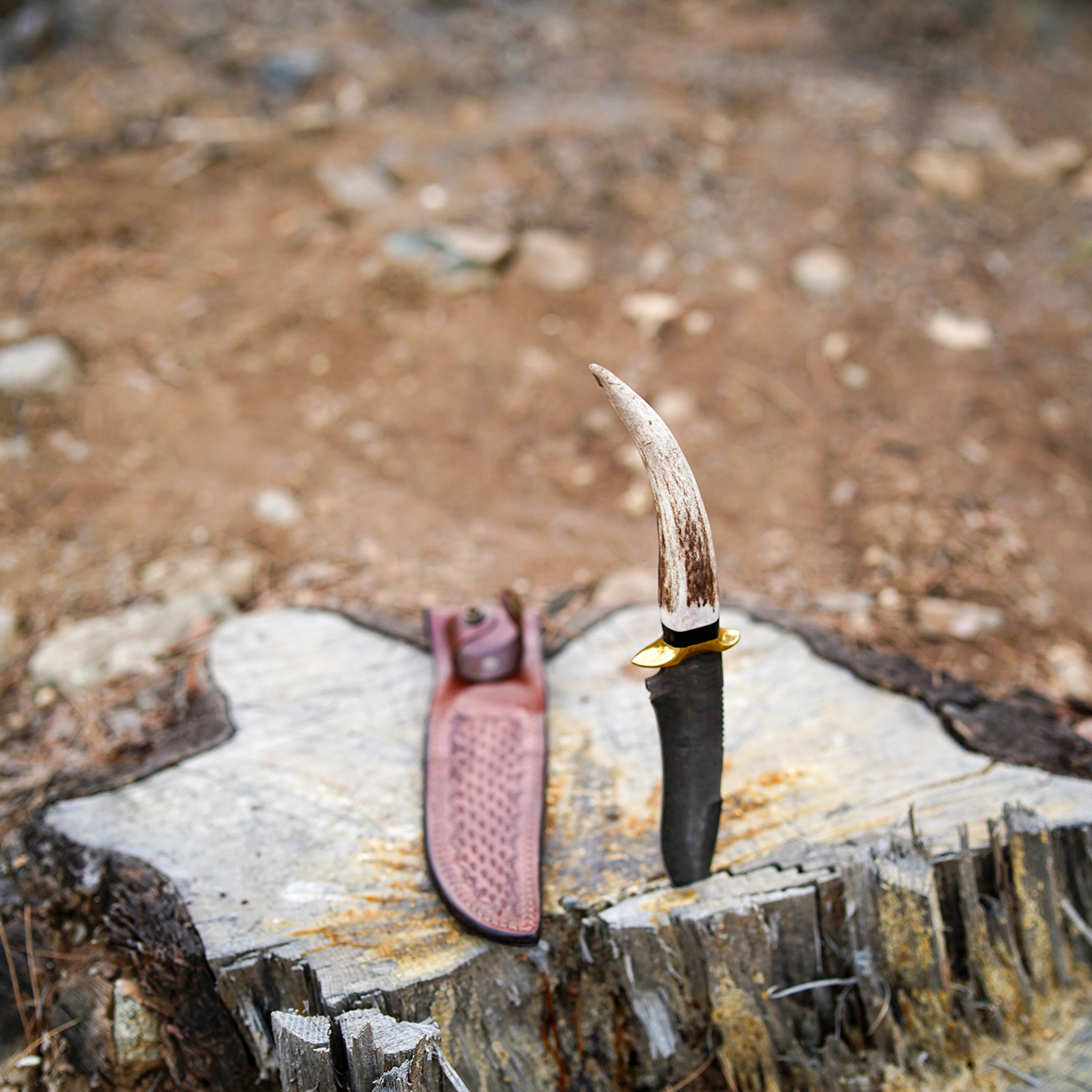 Zeus Damascus Av Bıçağı, geyik boynuzu kabzalı, vaketa deri kılıflı ve el işçiliğiyle üretilmiş premium Damascus çelik outdoor bıçak.