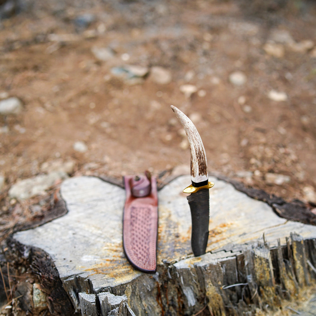 Zeus Damascus Av Bıçağı, geyik boynuzu kabzalı, vaketa deri kılıflı ve el işçiliğiyle üretilmiş premium Damascus çelik outdoor bıçak.